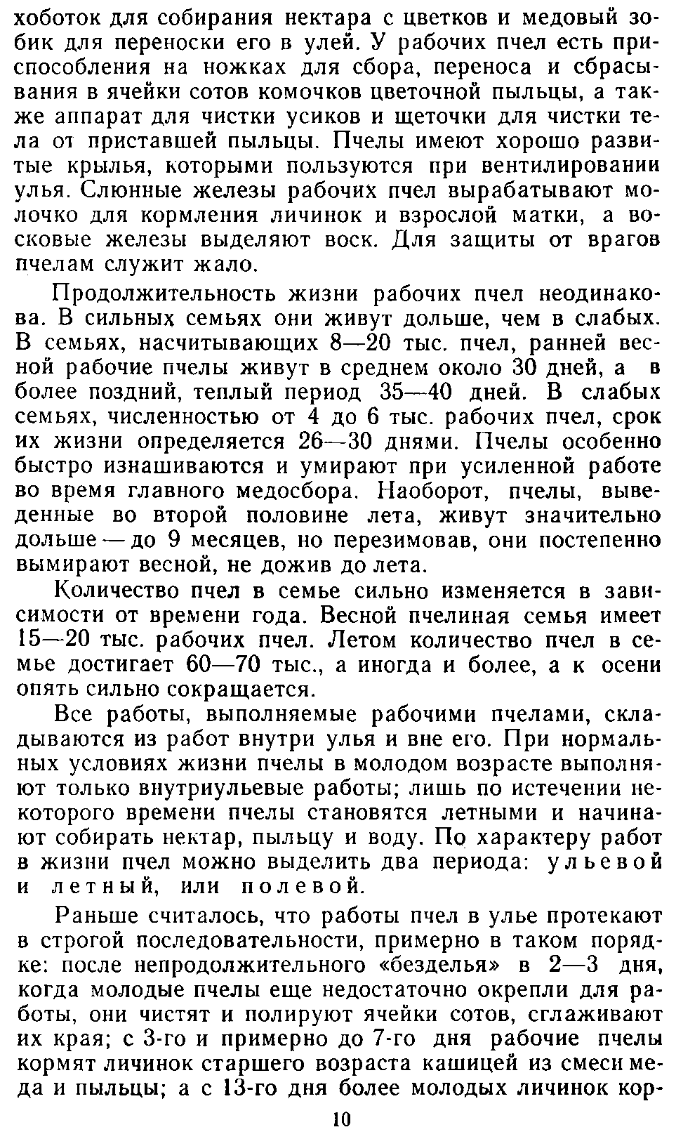      2. Пчелиная семья