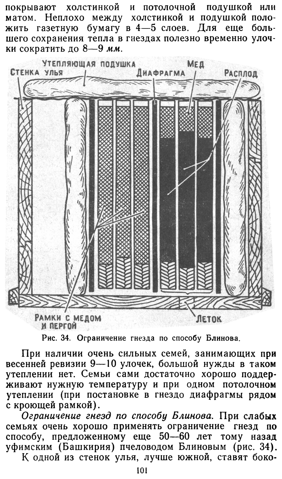           Восковые железы пчел. Постройка сотов