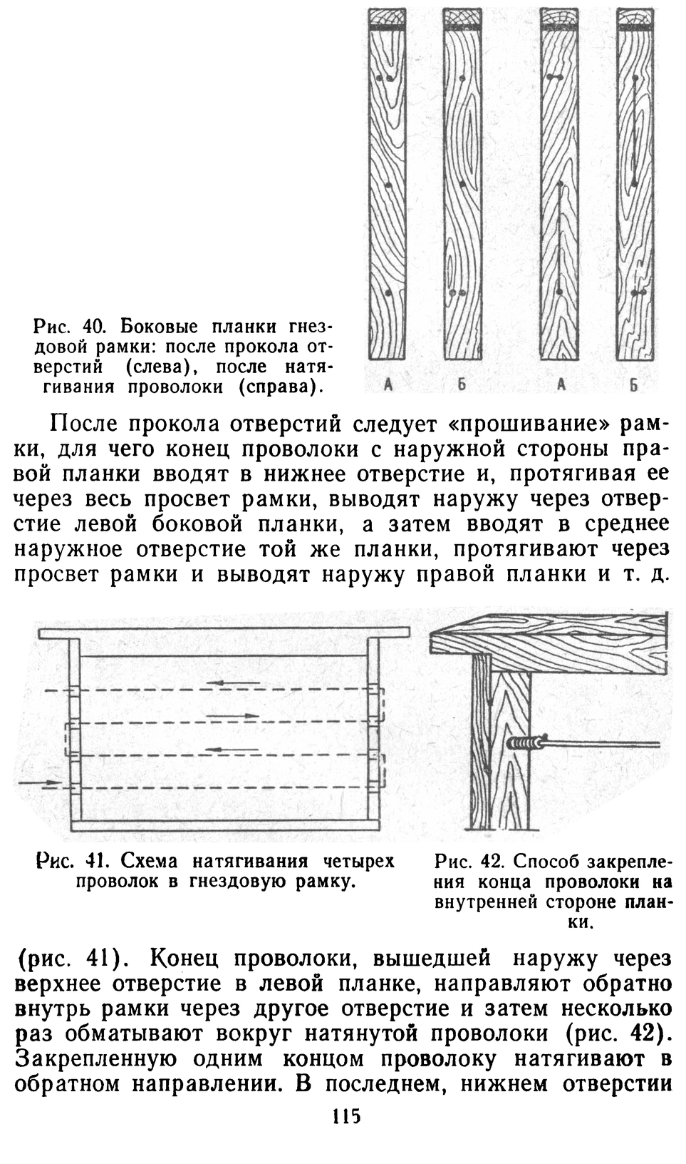           Восковые железы пчел. Постройка сотов