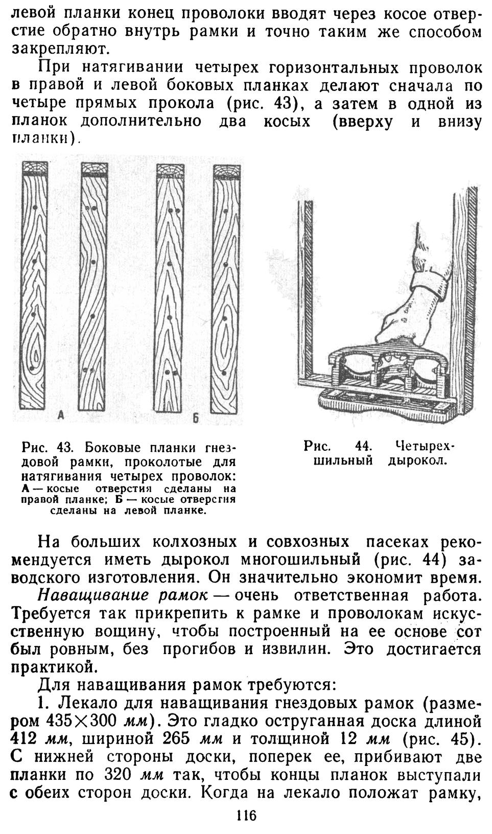           Восковые железы пчел. Постройка сотов