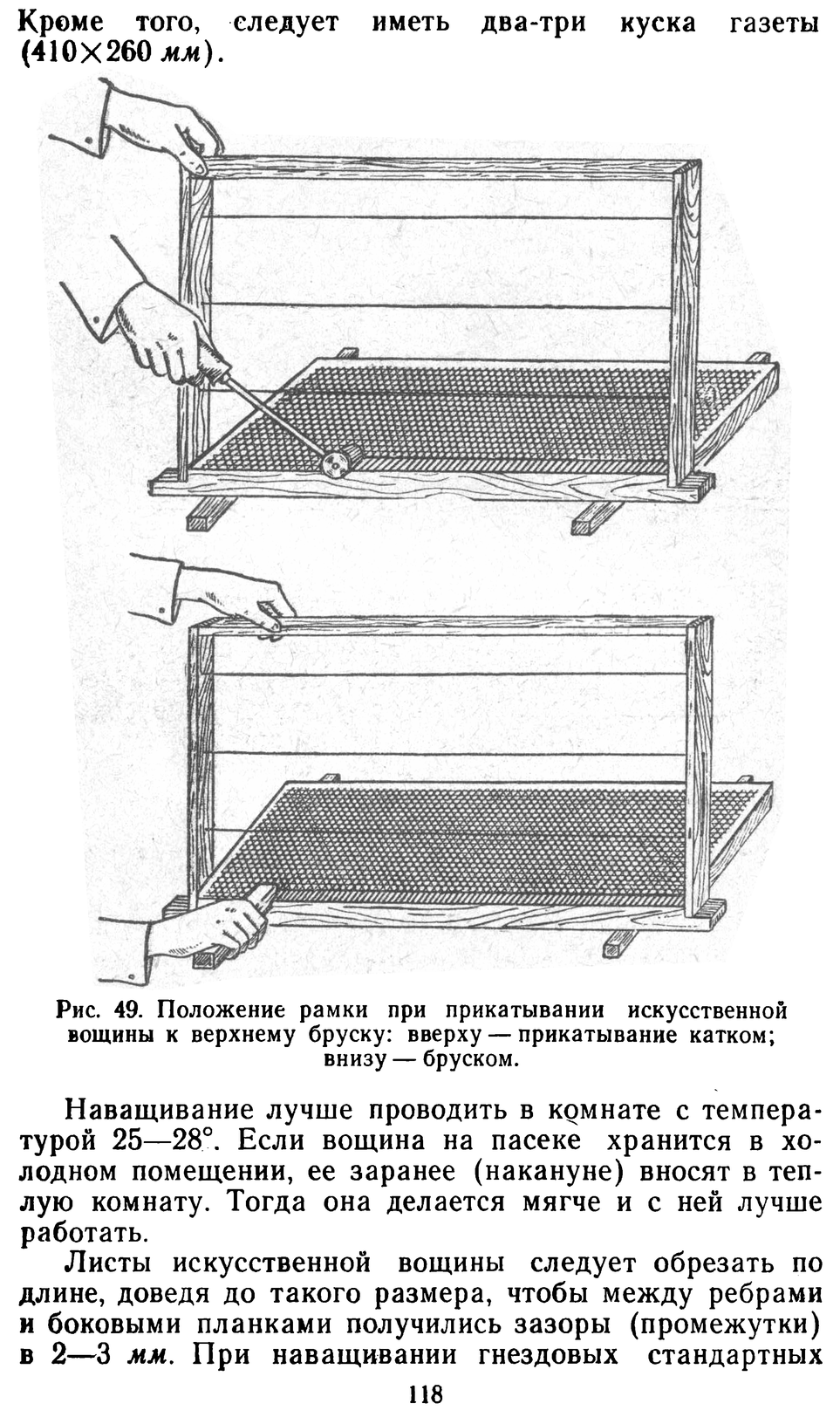           Восковые железы пчел. Постройка сотов