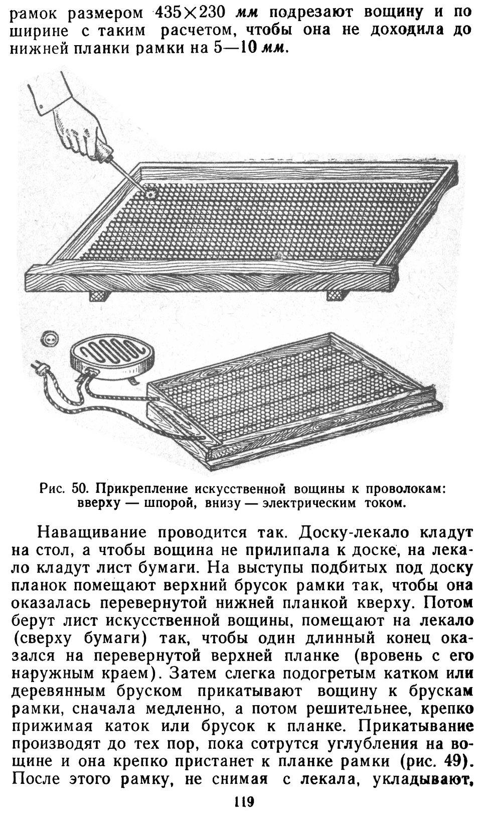           Восковые железы пчел. Постройка сотов