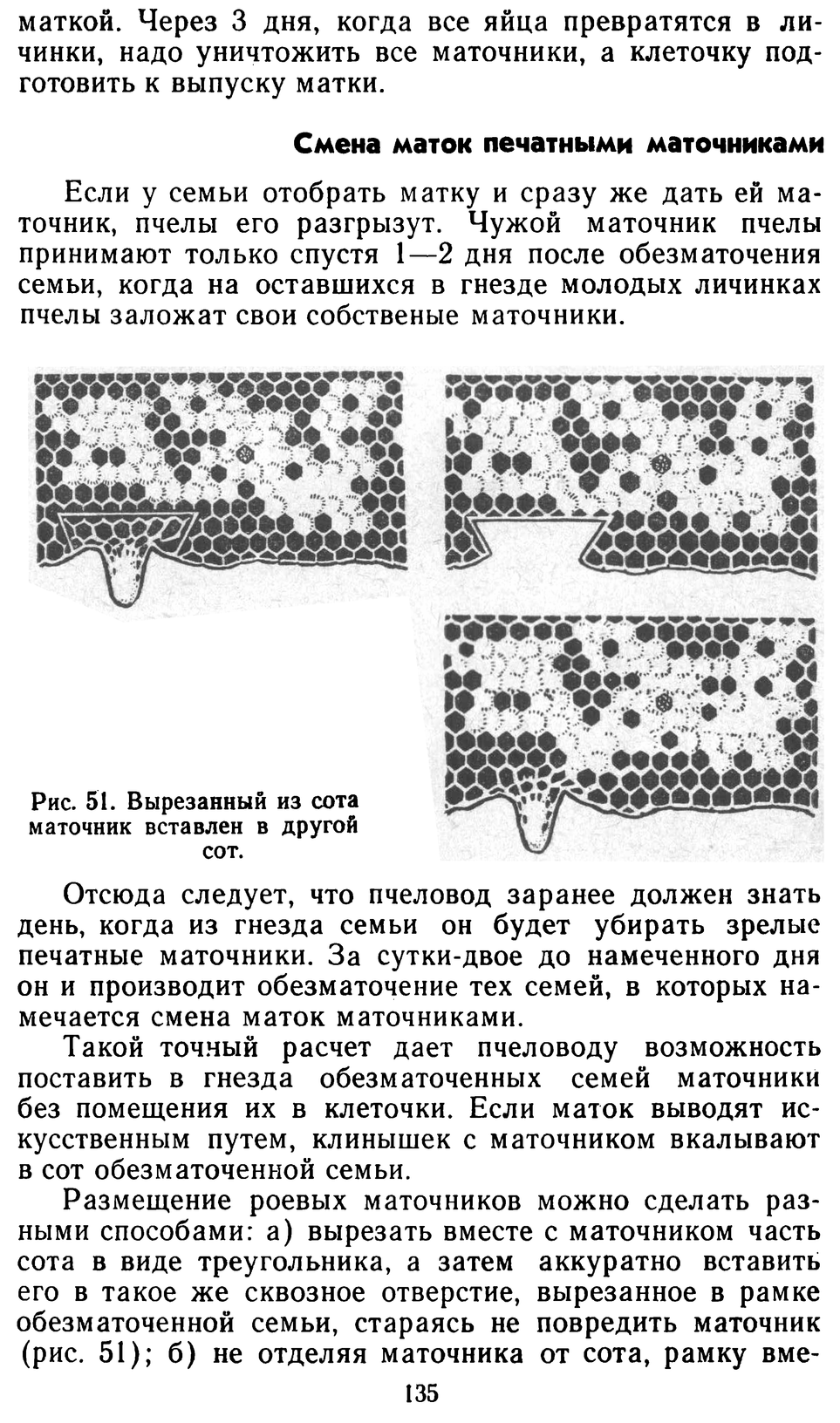           Восковые железы пчел. Постройка сотов