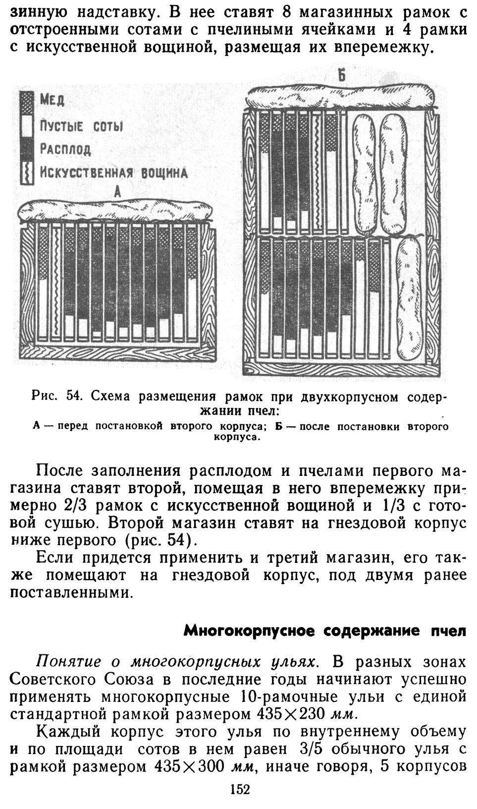           Восковые железы пчел. Постройка сотов