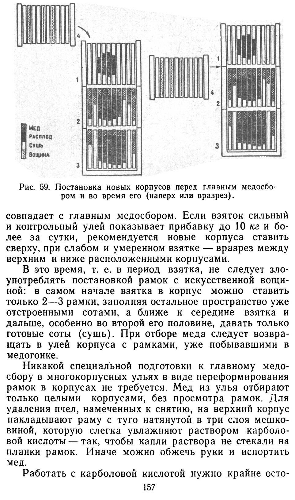           Восковые железы пчел. Постройка сотов