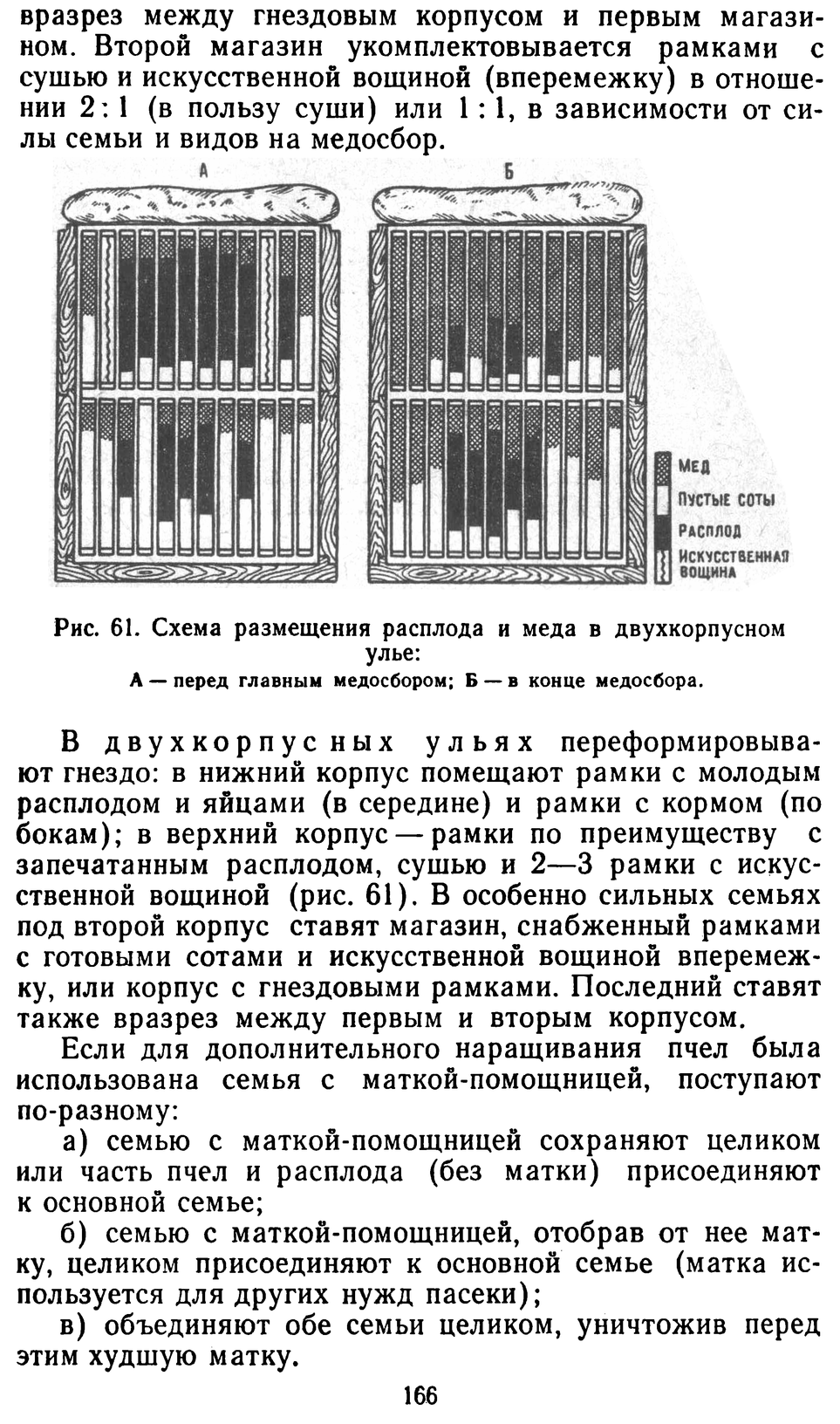           Восковые железы пчел. Постройка сотов