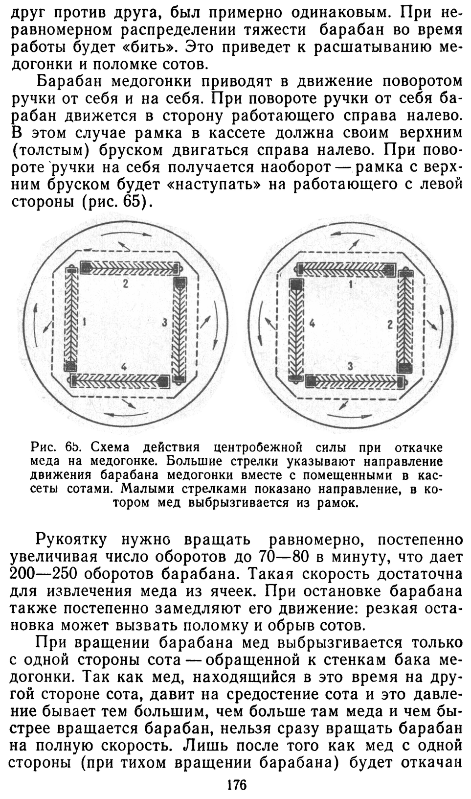           Восковые железы пчел. Постройка сотов