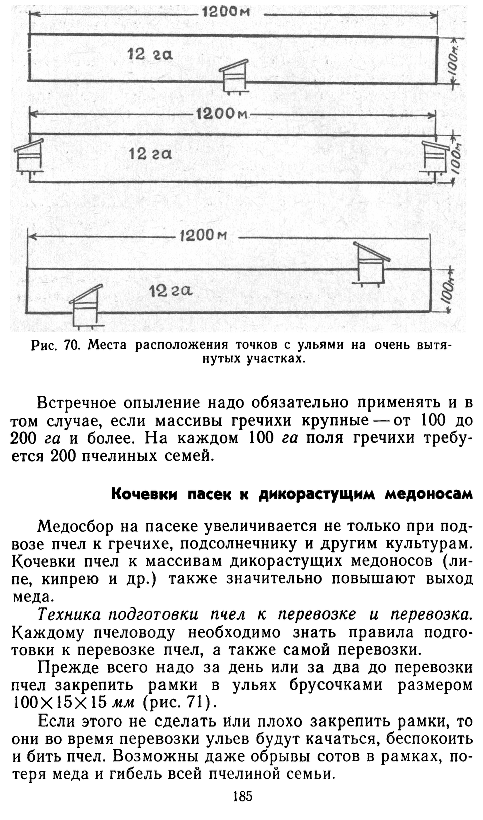           Восковые железы пчел. Постройка сотов