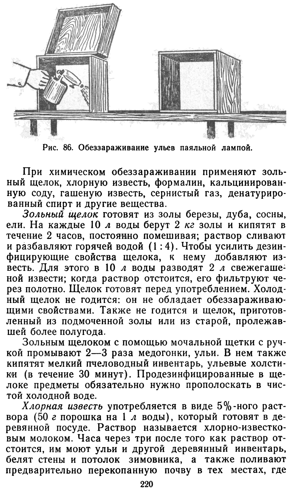           Восковые железы пчел. Постройка сотов