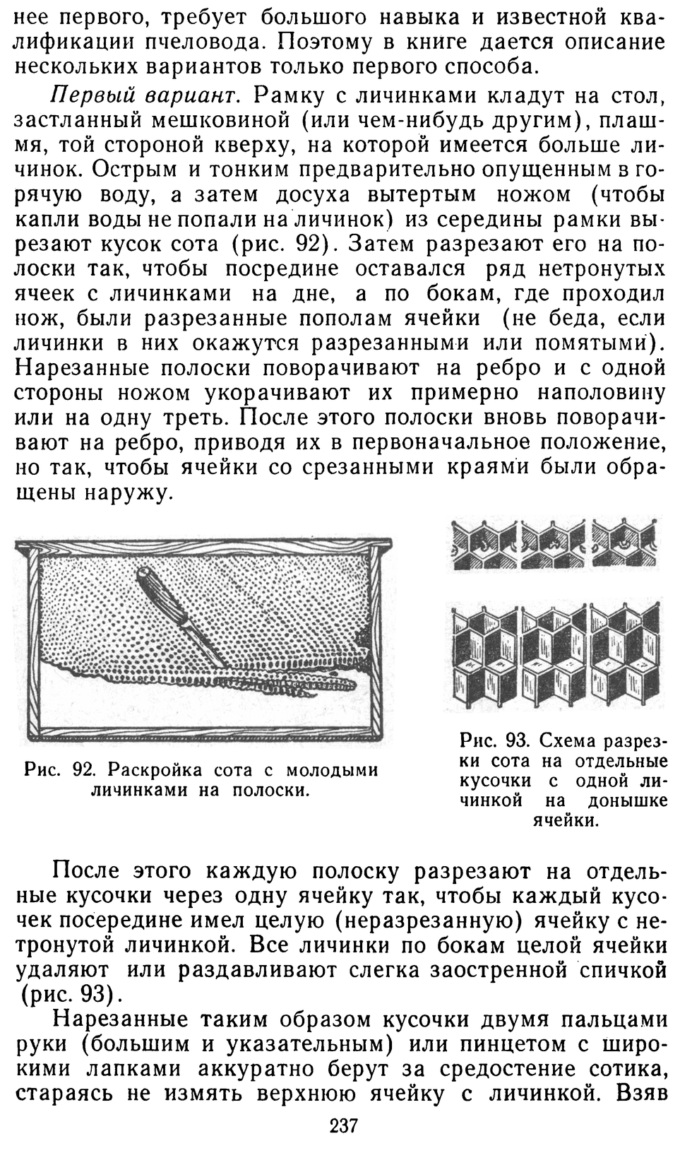           Восковые железы пчел. Постройка сотов