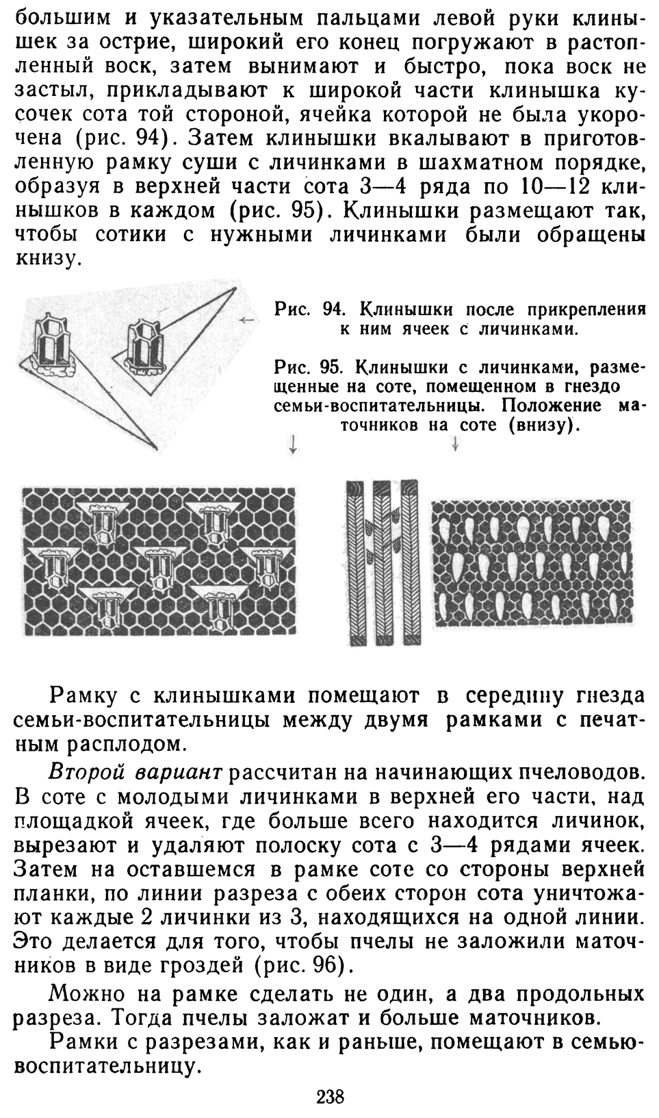           Восковые железы пчел. Постройка сотов