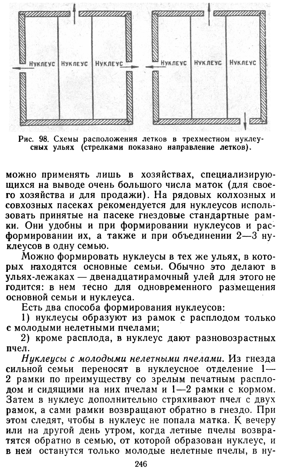           Восковые железы пчел. Постройка сотов