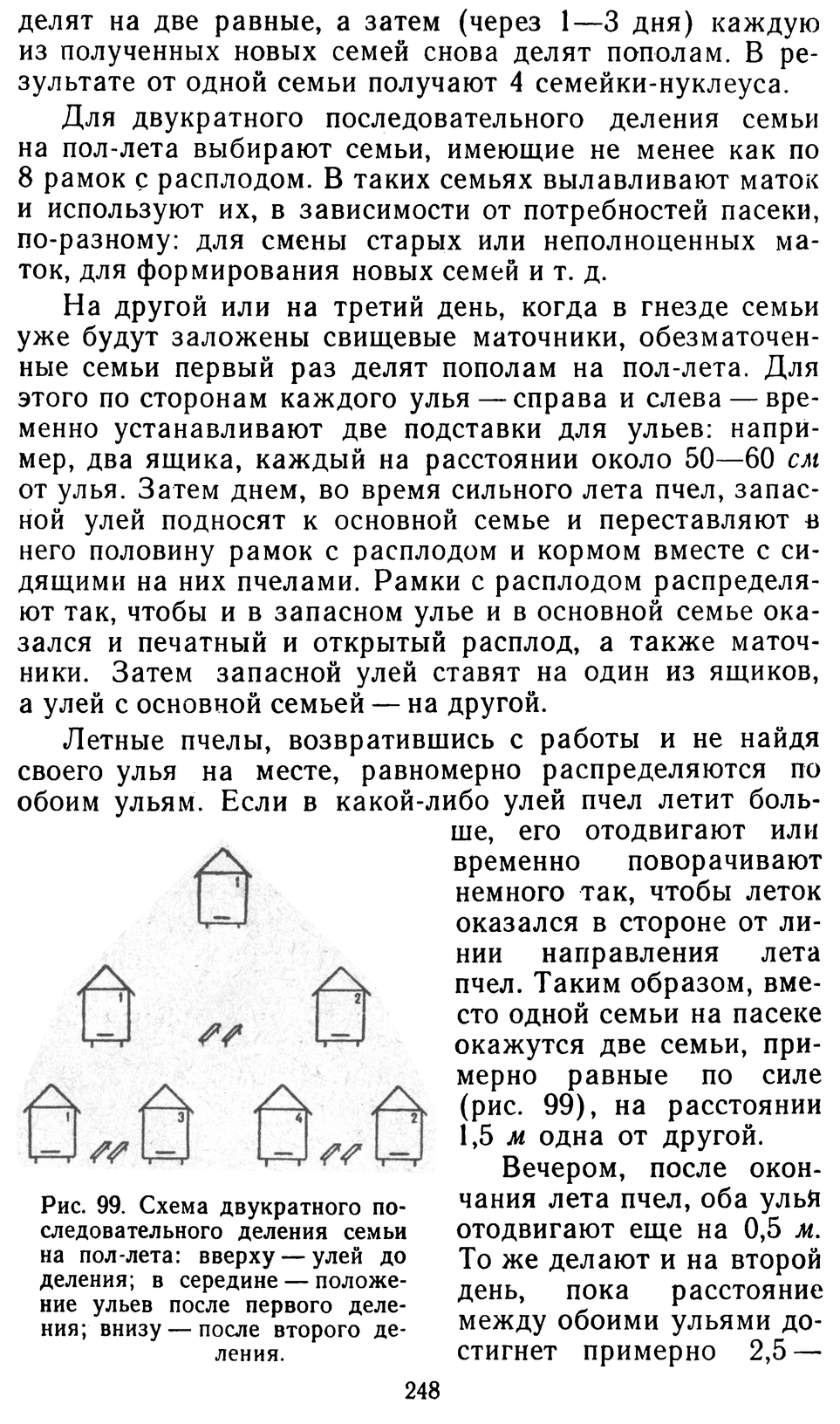           Восковые железы пчел. Постройка сотов