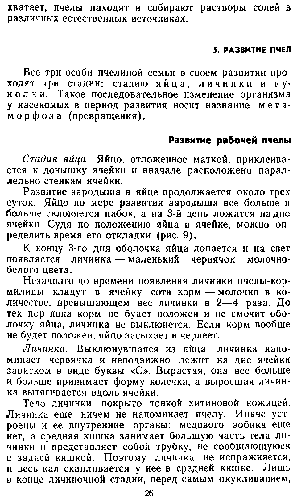           Восковые железы пчел. Постройка сотов