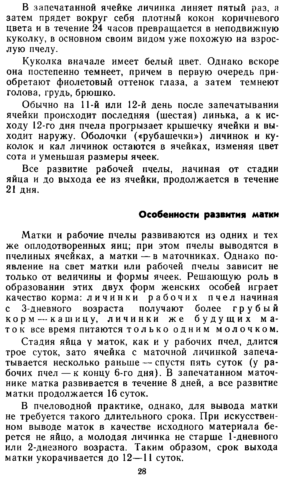           Восковые железы пчел. Постройка сотов