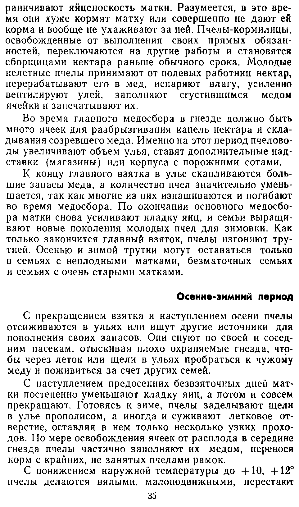           Восковые железы пчел. Постройка сотов