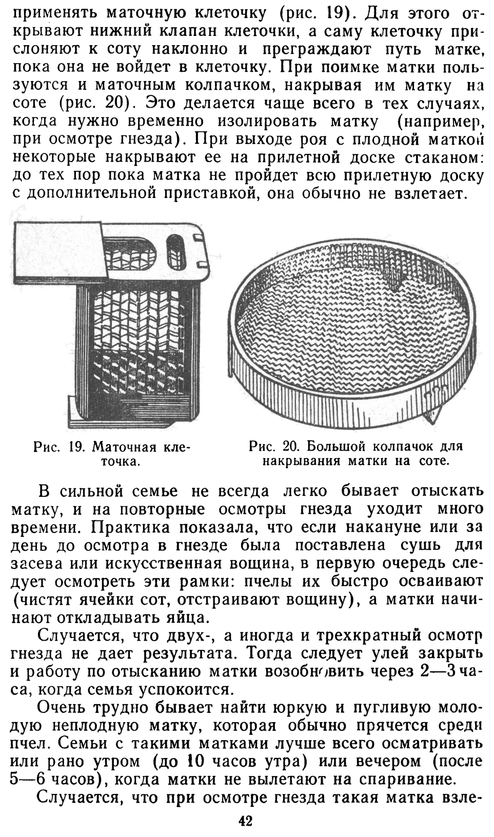           Восковые железы пчел. Постройка сотов