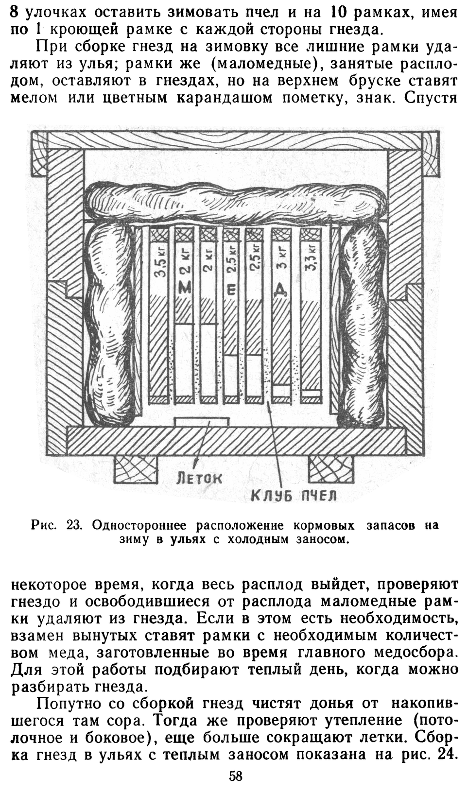           Восковые железы пчел. Постройка сотов