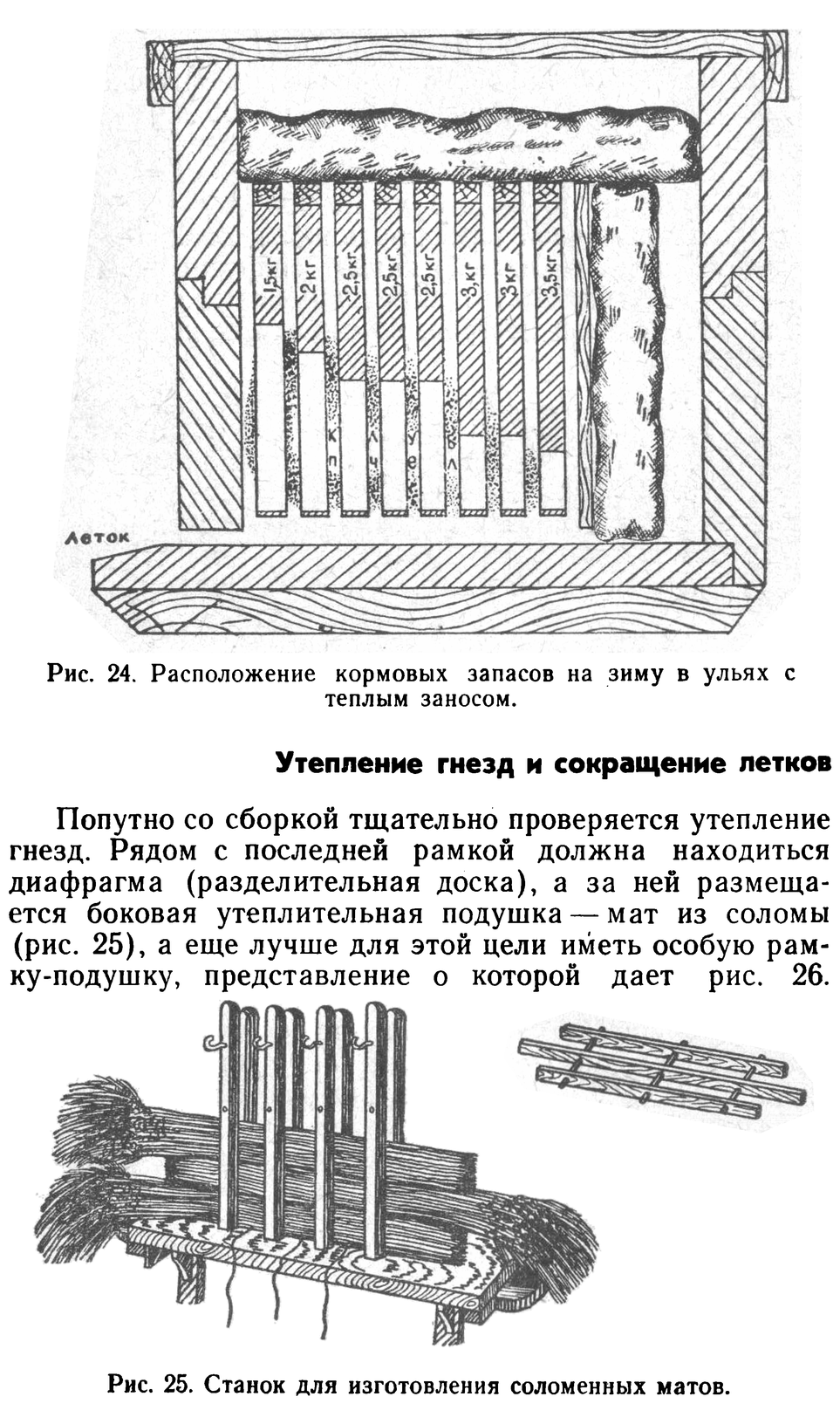           Восковые железы пчел. Постройка сотов