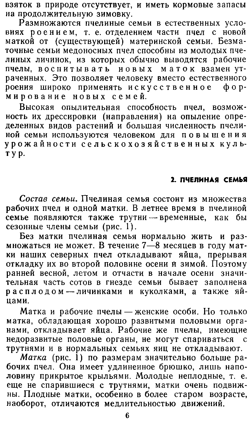      2. Пчелиная семья