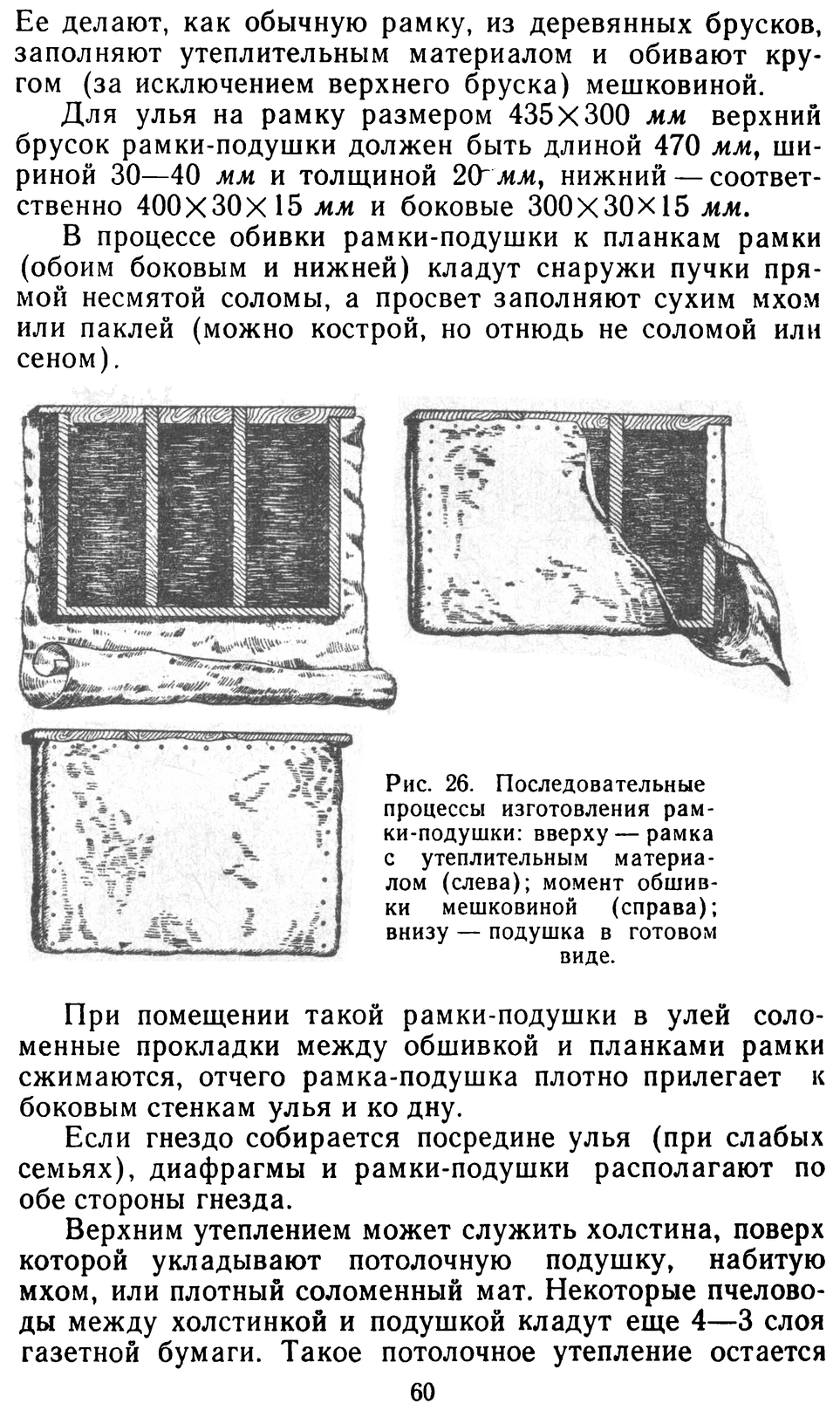           Восковые железы пчел. Постройка сотов