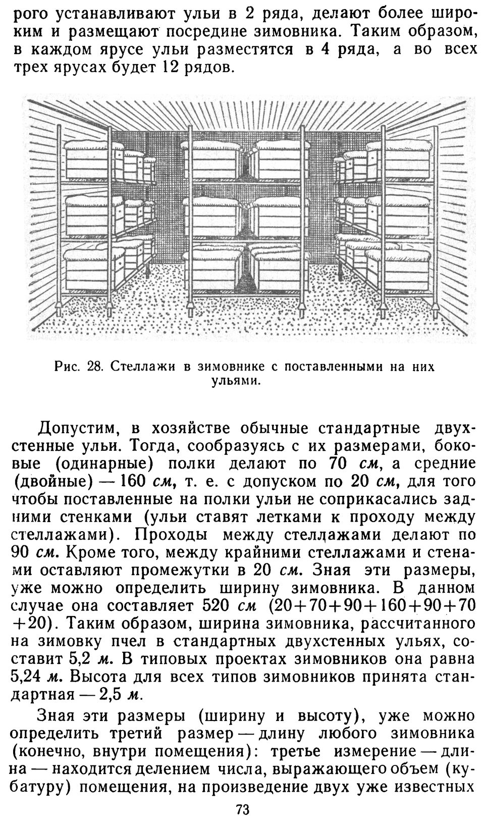           Восковые железы пчел. Постройка сотов