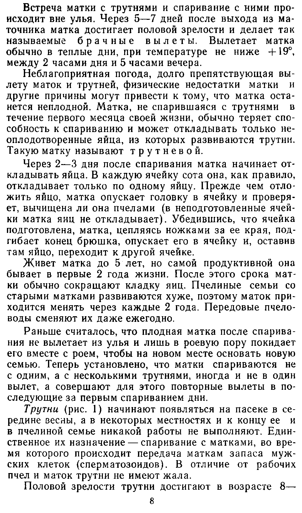      2. Пчелиная семья