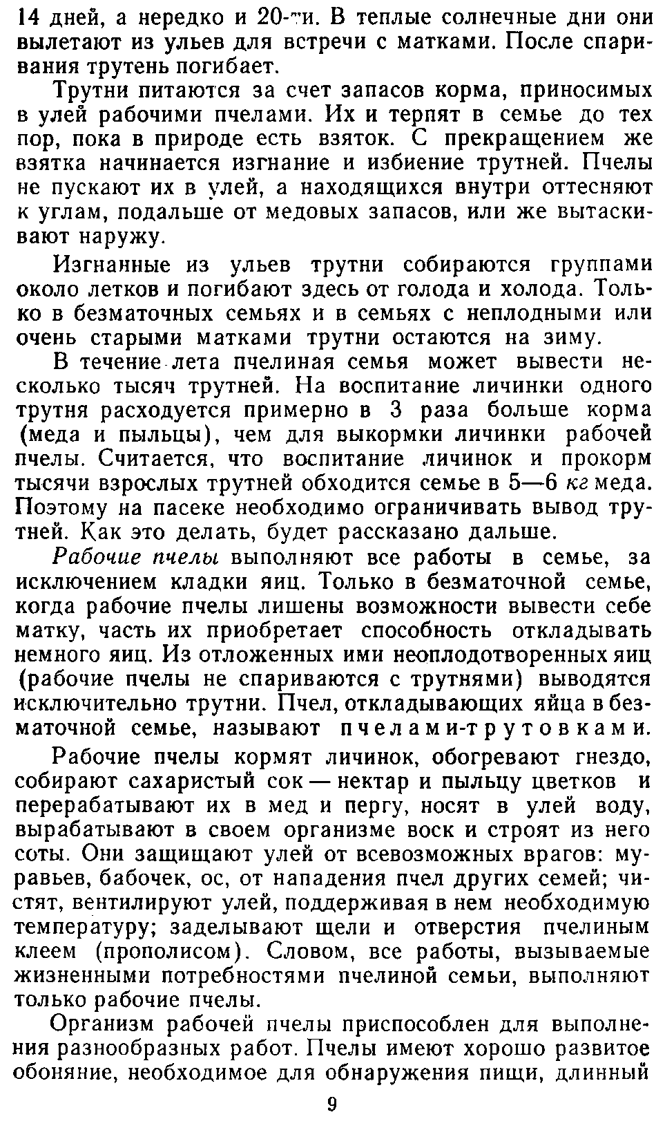      2. Пчелиная семья