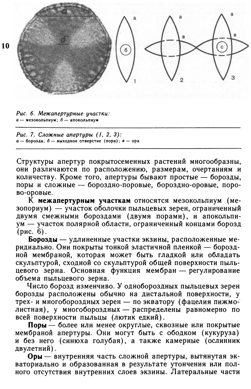 Морфологическое описание пыльцевых зерен