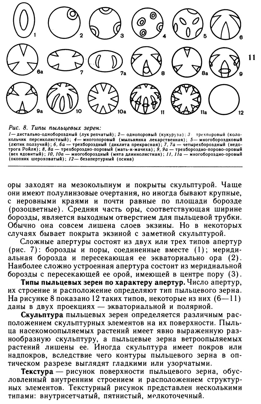 Морфологическое описание пыльцевых зерен