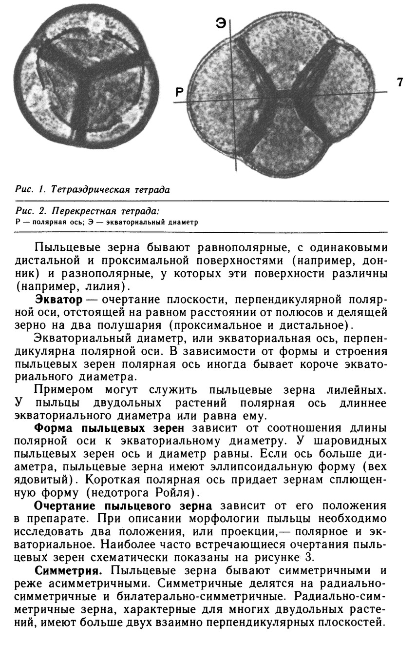 Морфологическое описание пыльцевых зерен