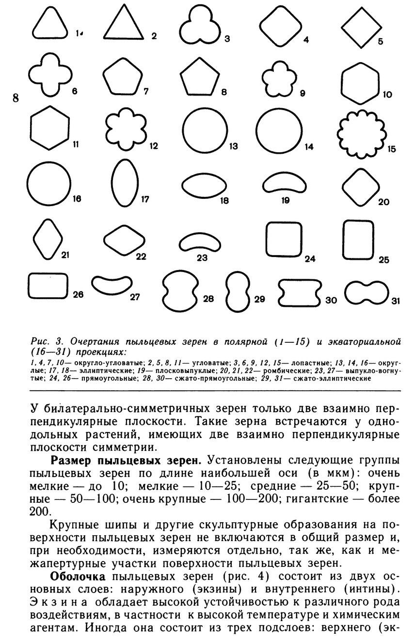 Морфологическое описание пыльцевых зерен