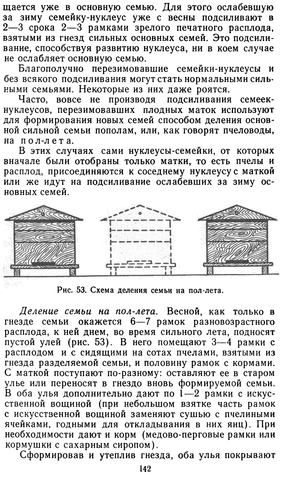 Деление семьи на пол лета по кашковскому схема