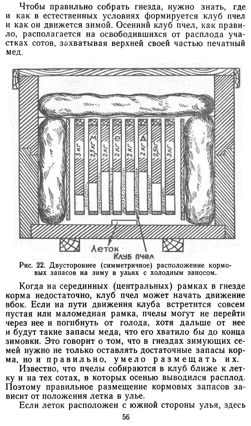 Расположение рамок в улье дадан схема