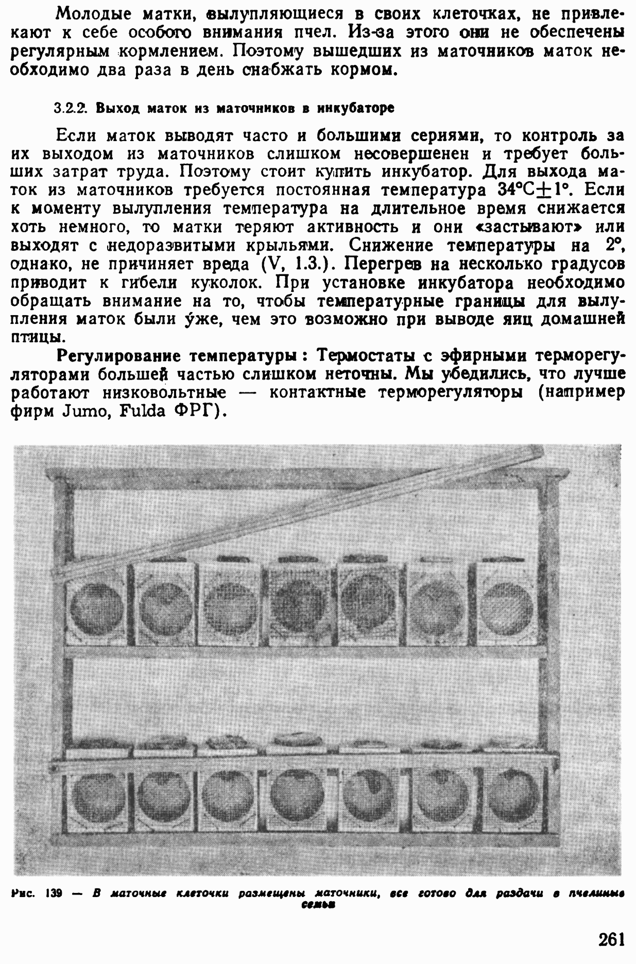 Выход матки из маточника. Сроки выхода матки из маточника. Календарь вывода маток. Инкубатор для вывода пчелиных маток.