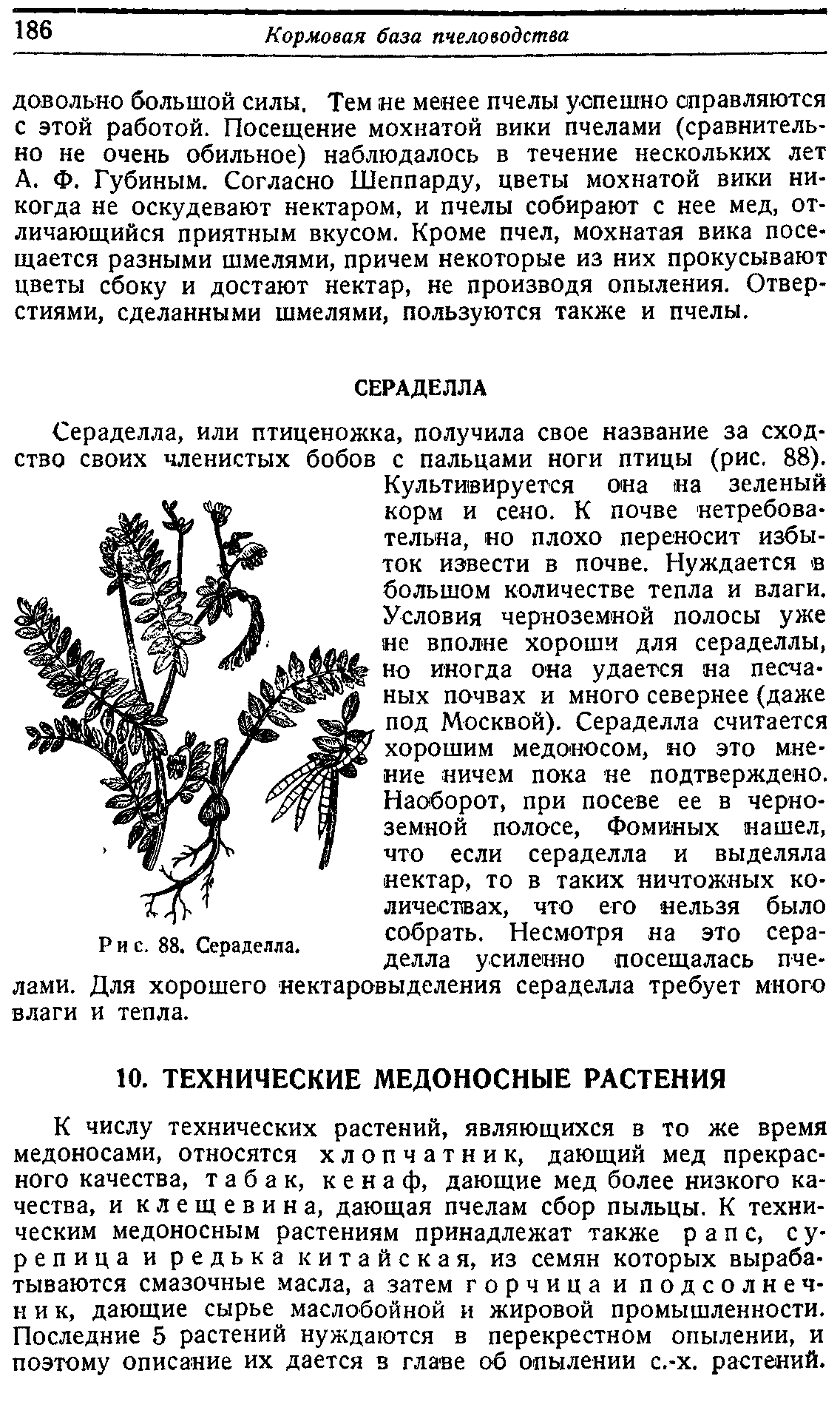 Медоносные Растения Для Пчел Семена Купить Котлас