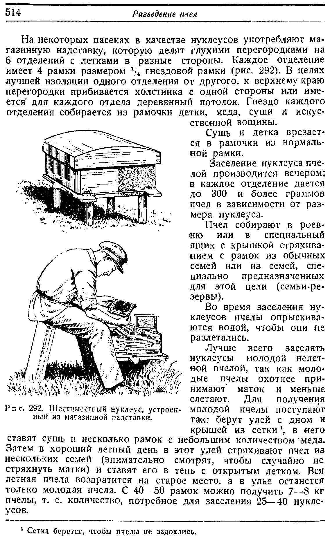 Схема вывода маток у пчел