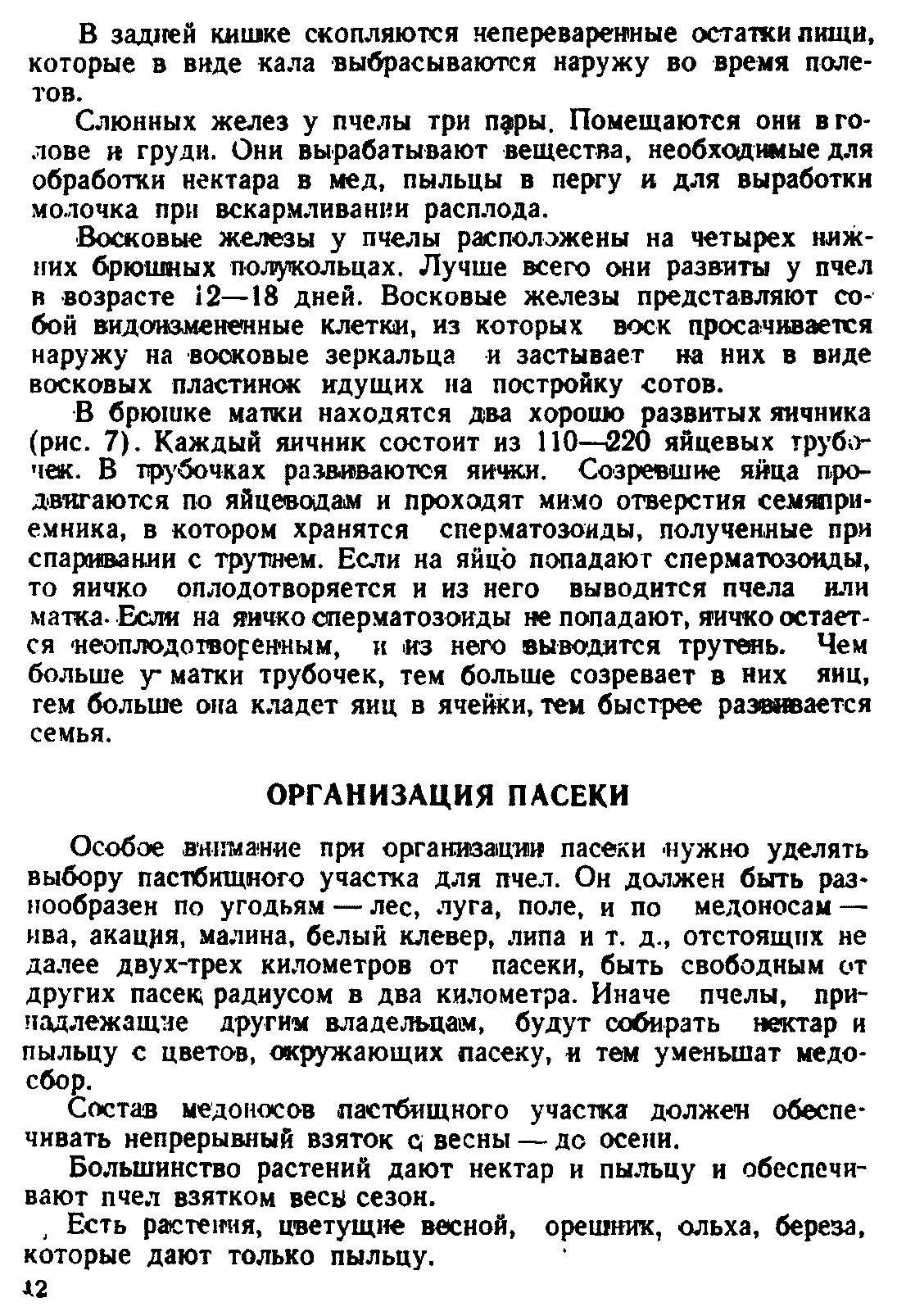 Пчеловодство - Библиотека пчеловода Paseka.org