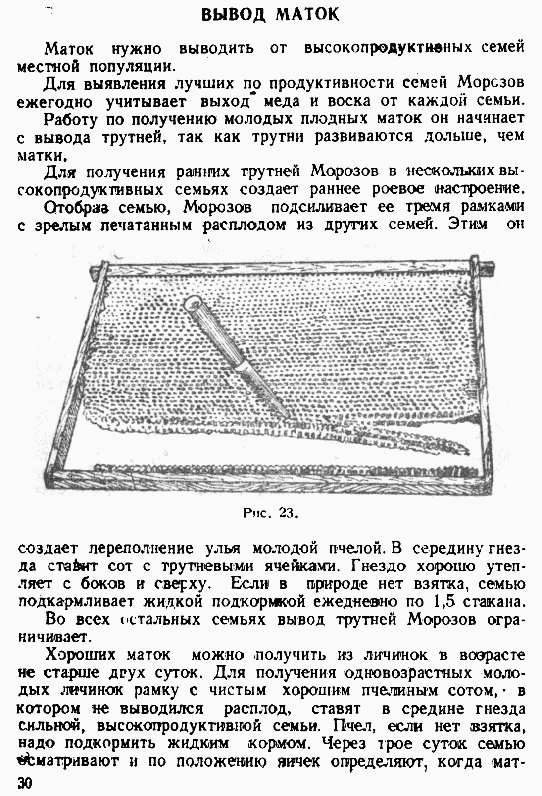 Как выводить пчел. Календарь выведения пчелиных маток. Пчеловодный календарь для вывода маток. Таблица вывода маток пчел. Пчеловодческий календарь для вывода маток.