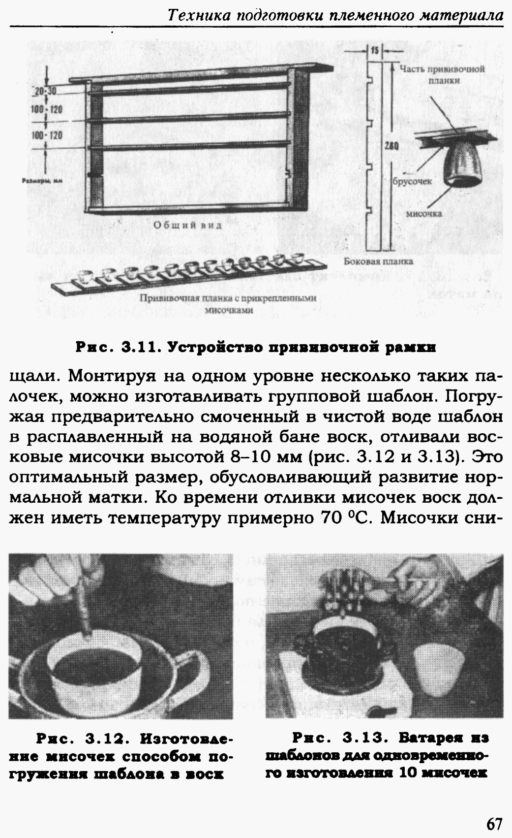 Прививочная рамка для вывода маток своими руками размеры и чертежи